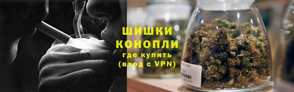 ПСИЛОЦИБИНОВЫЕ ГРИБЫ Беломорск