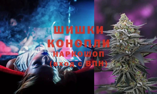 ПСИЛОЦИБИНОВЫЕ ГРИБЫ Беломорск