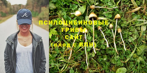 твердый Белоозёрский