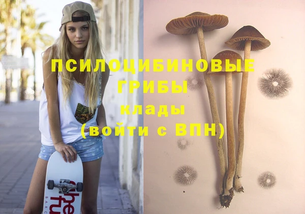 ПСИЛОЦИБИНОВЫЕ ГРИБЫ Беломорск
