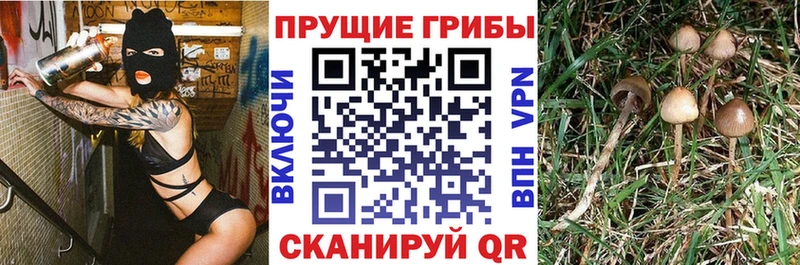 Псилоцибиновые грибы ЛСД  Пыть-Ях 